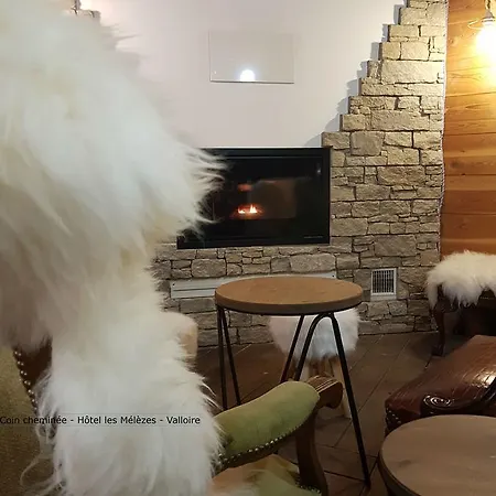 Hotel Hotel-chalet Les Melezes Valloire
