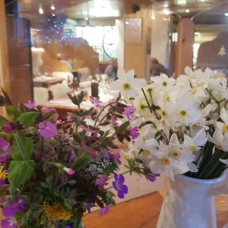Hotel Hotel-chalet Les Melezes Valloire