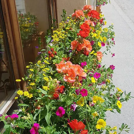 Hotel-chalet Les Melezes